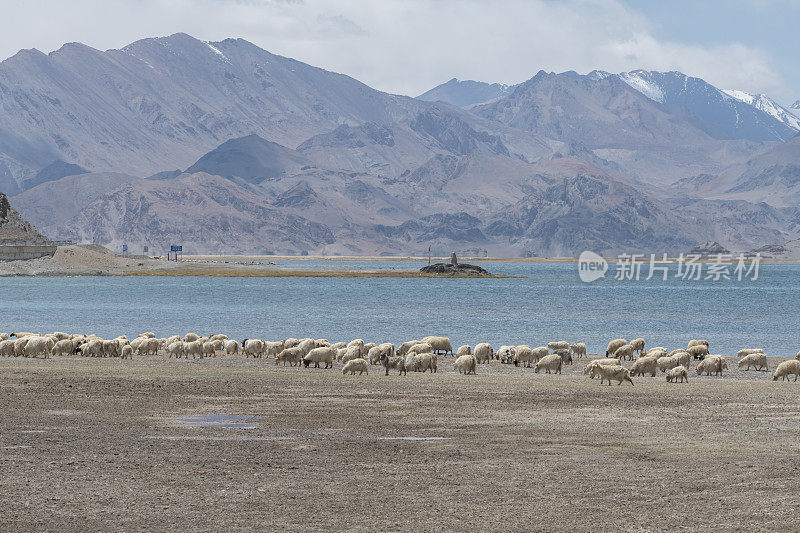 青海的风景stock photo